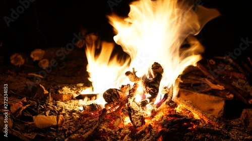 Campfire at a picnic at night