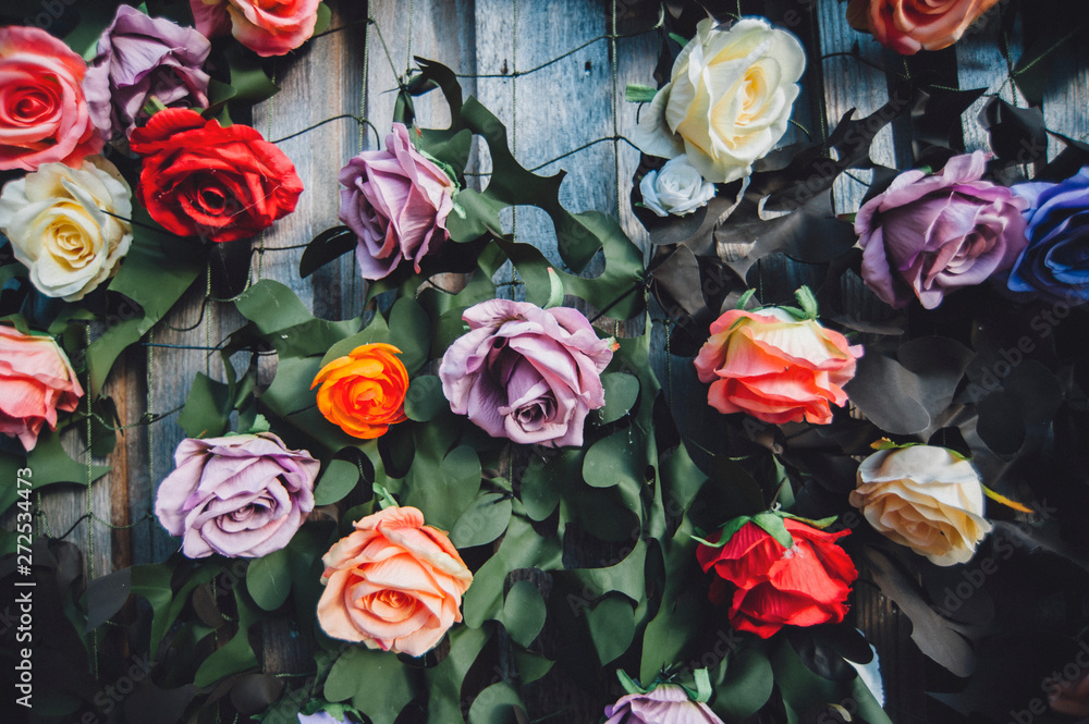 Wall of Roses Wall of Roses