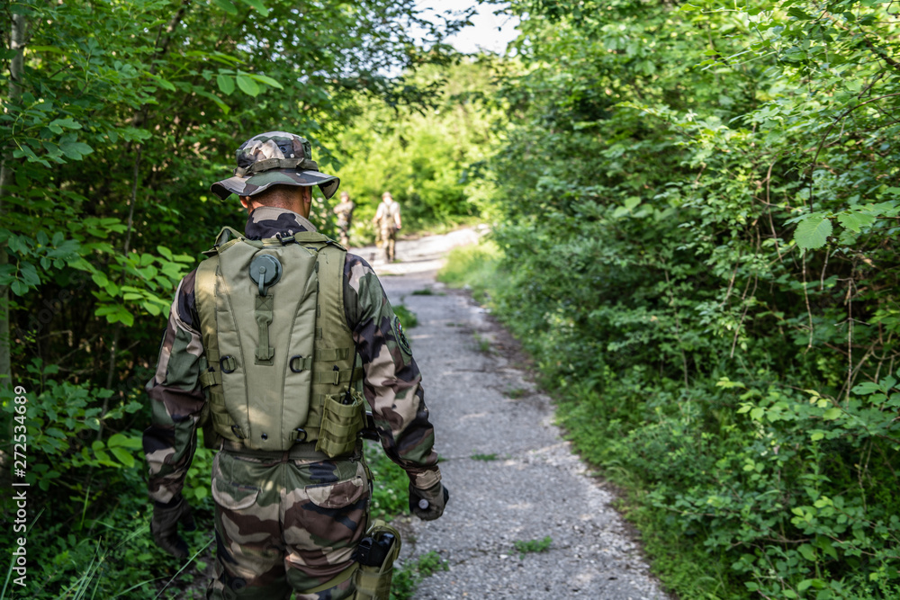 Special forces mercenary soldiers dogs of war in the forest during the combat battle operation on the mission Special forces mercenary soldiers dogs of war in the forest during the combat battle operation on the mission