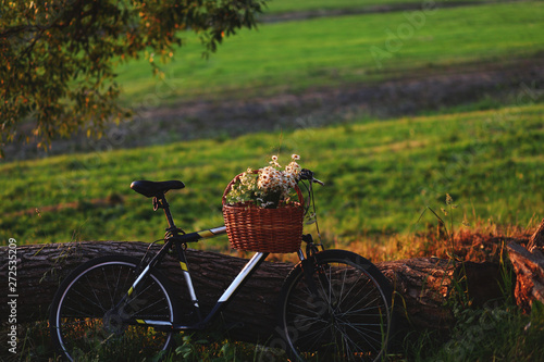 bike with basket with flowers against nature background