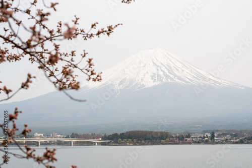 Fuji mountain in Japan. © Chatchai
