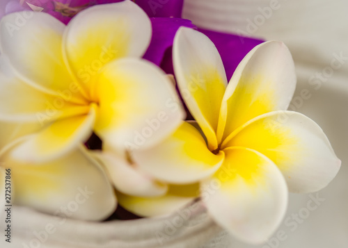 Close-up White and Yellow Frangipanis with vibrant colors, high level of detail and selective focus  photo