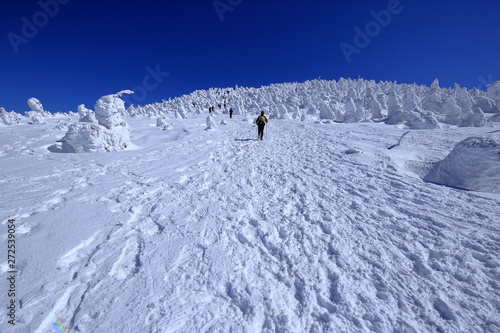 厳冬期の西吾妻山 ( Snowscape at Mount Nishi-Azuma, Fukushima and Yamagata, Japan ) © Makoto-san