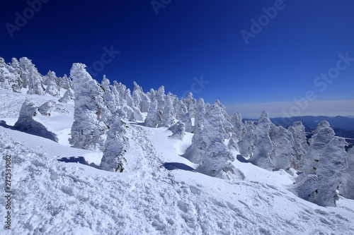 厳冬期の西吾妻山 ( Snowscape at Mount Nishi-Azuma, Fukushima and Yamagata, Japan )