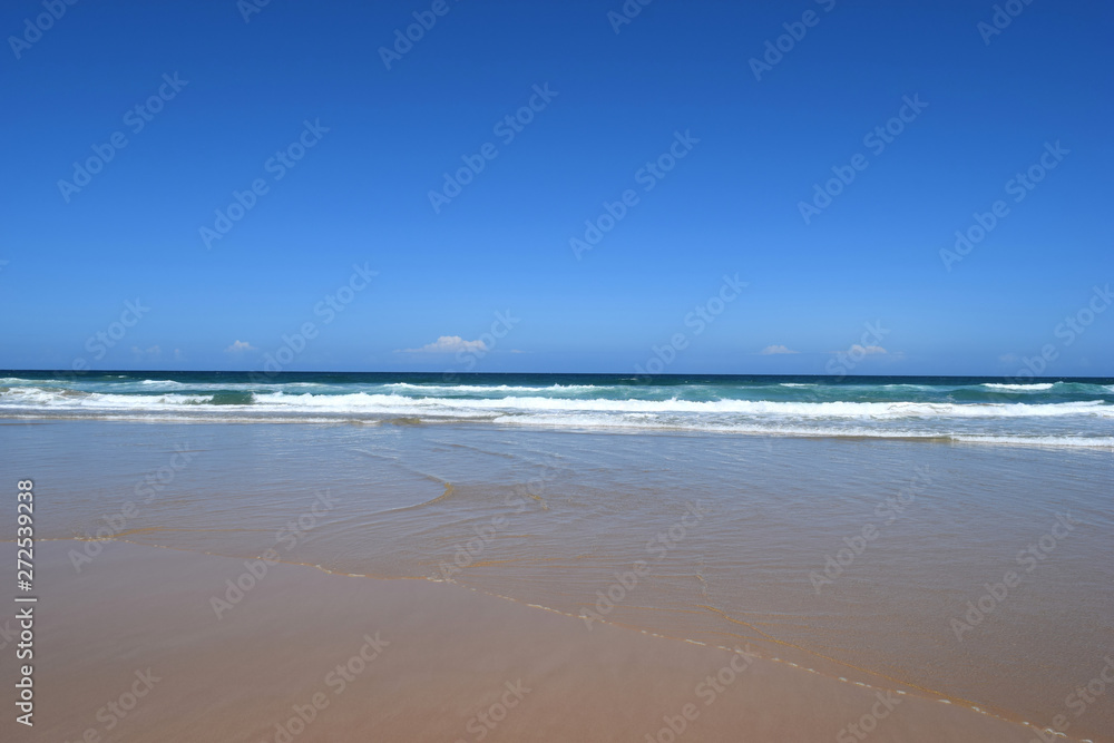 Obraz premium An Amazing Alexandria Bay Noosa National Park
