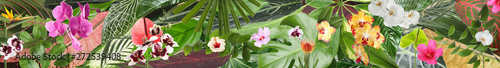 Beautiful tropical leaves and flowers as background. Banner design