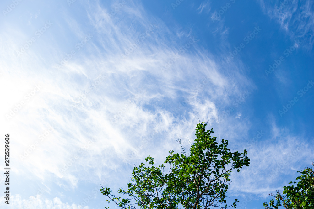 Fototapeta premium blue sky with white clouds over countryside landscape