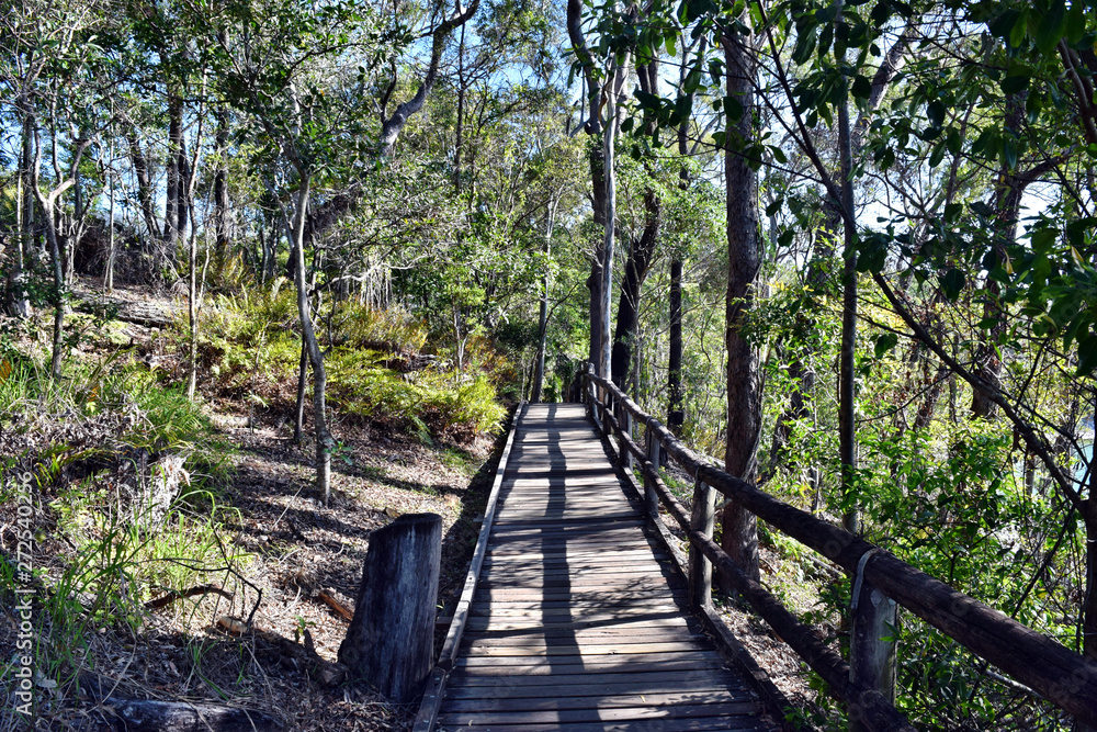 Forest Way at Noosa Heads National Park
