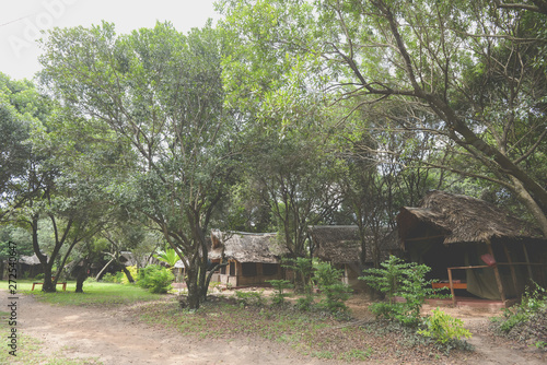 Beautiful landscapes in Africa. Untouched nature