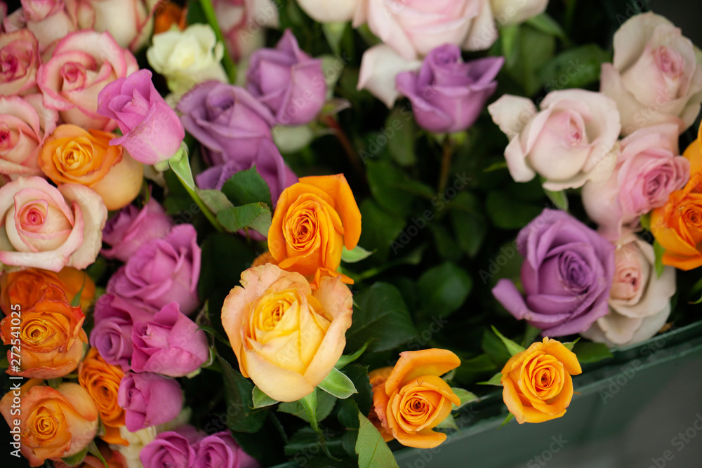 Close up view of beautiful flowers mix in the box. Unpacking and deliver roses. Small business. Floral carpet for Wallpaper. Close up view of beautiful flowers mix in the box. Unpacking and deliver roses. Small business. Floral carpet for Wallpaper.