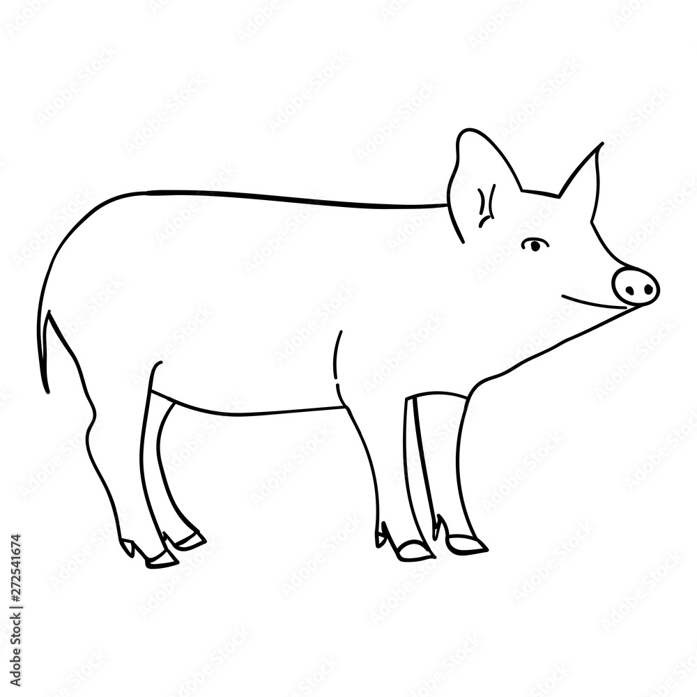 Contour pig in doodle style. Contour pig in doodle style.