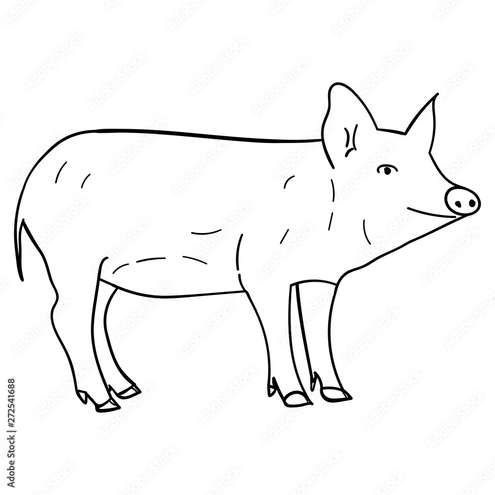 Contour pig in doodle style.