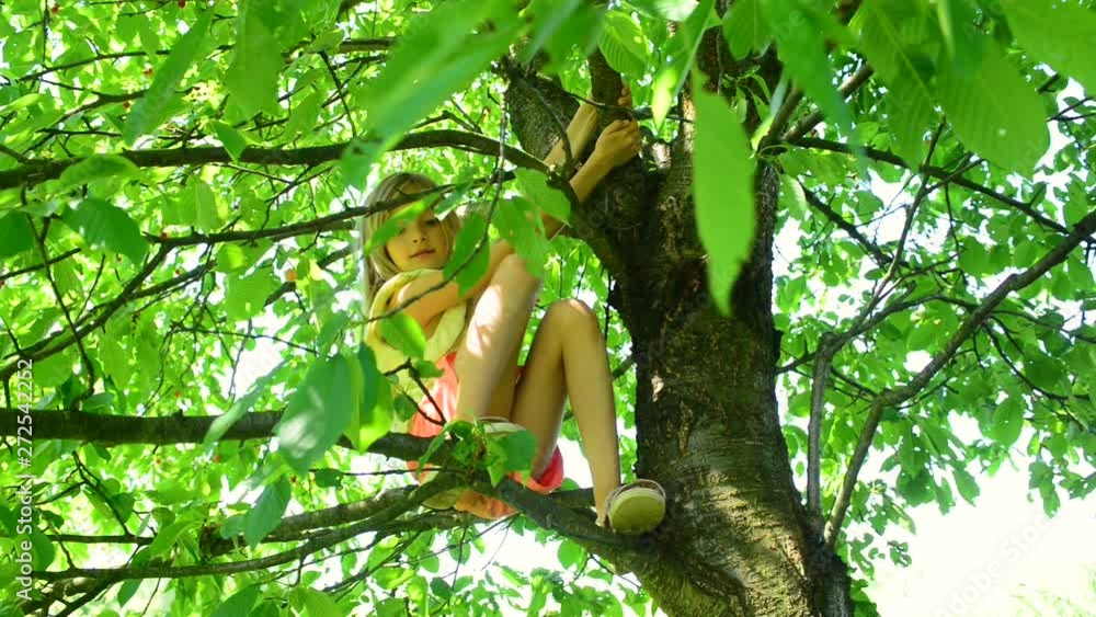 Child girl climbing on cherry tree