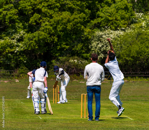 Cricket on a village green in the New Forest, Hampshire