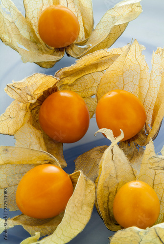 Goldenberries on Blue photo