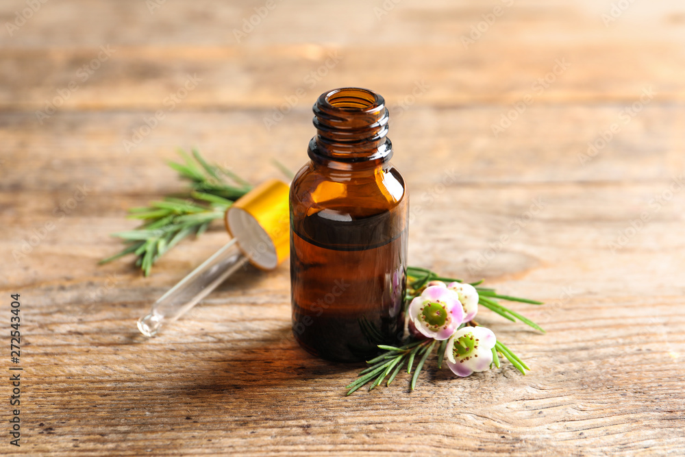 Bottle of natural tea tree oil and plant on table Bottle of natural tea tree oil and plant on table
