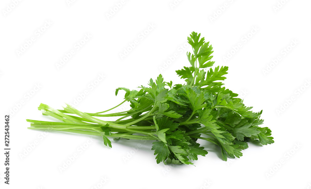 Bunch of fresh parsley isolated on white Bunch of fresh parsley isolated on white