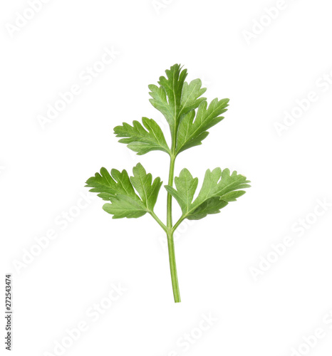 Leaves of fresh tasty parsley on white background  top view