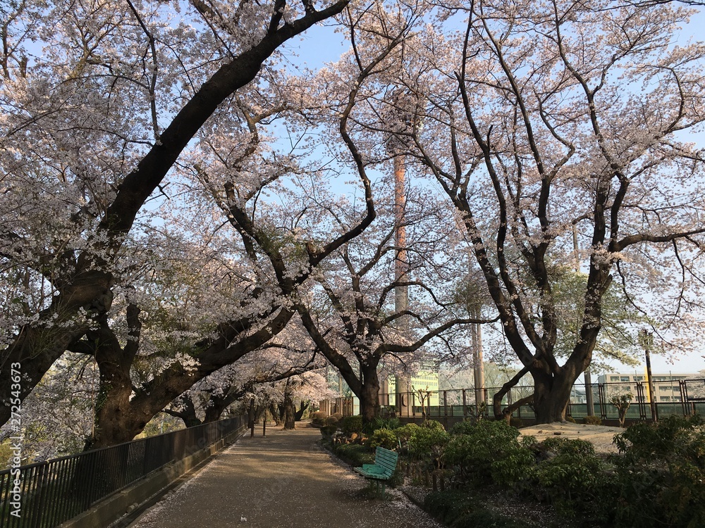 公園 公園