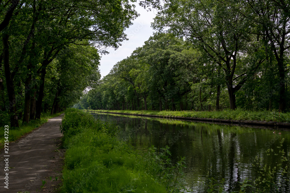 Waterways in Belgium, manmade canal with oak trees alley