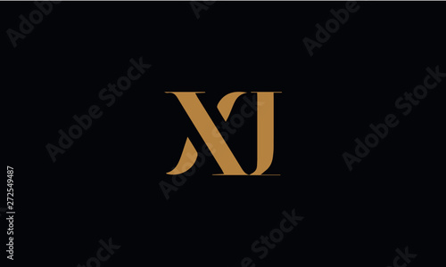 XI logo design template vector illustration