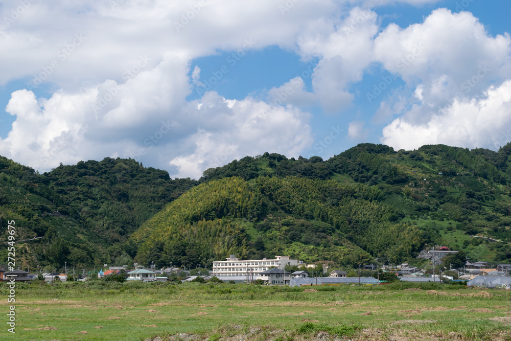 静岡市の風景　麻機遊水地（公園開発前）