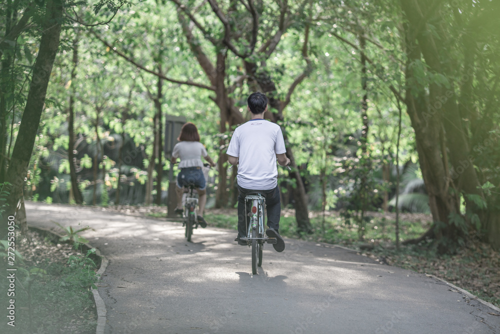 The natural background of the tree that is flowering in orange, is the season of deciduous season and seasonal color change, is the beauty that is seen during the journey