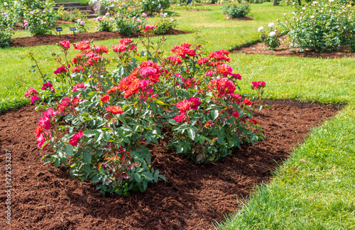 Fototapeta Naklejka Na Ścianę i Meble -  