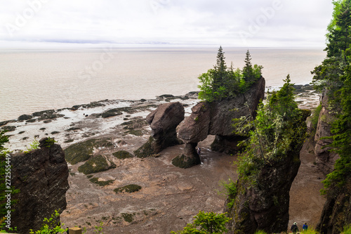 Hopewell Rocks on Bay of Fundy in New Brunswick area of Canada at Low Tide