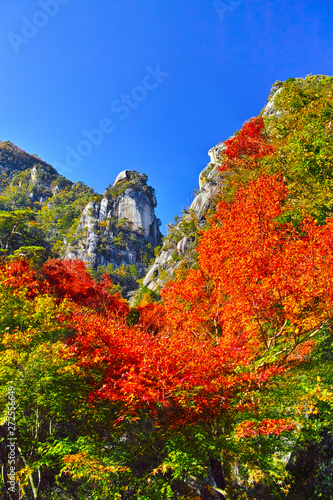 紅葉シーズンの山梨、甲府市にある昇仙峡の景観