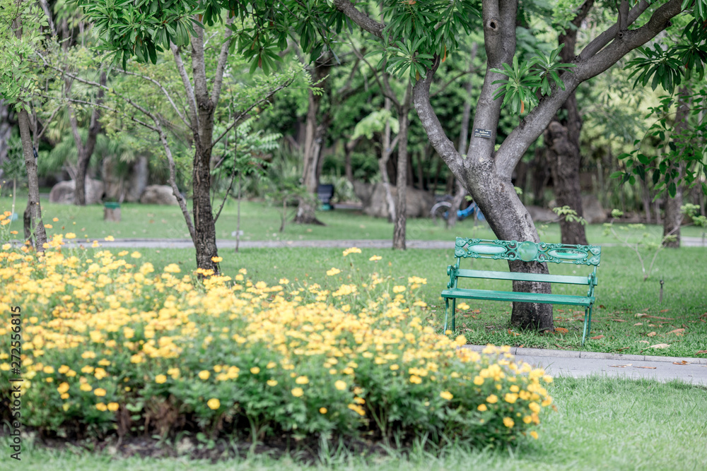 Fototapeta premium The blurred background of the chair, the seat in the park, among the green trees, has a pleasant shade during the break