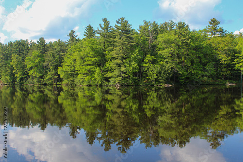 lake in deep forest