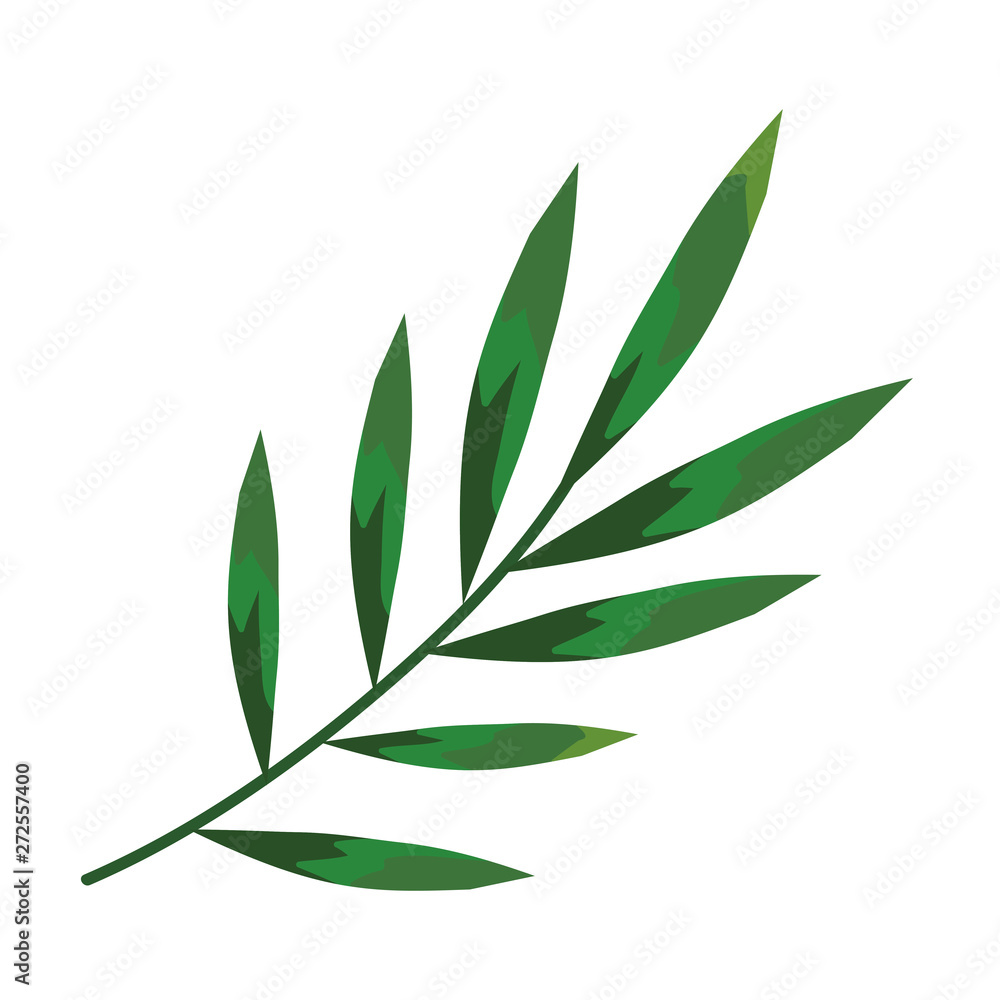 branch with leafs plants icon branch with leafs plants icon