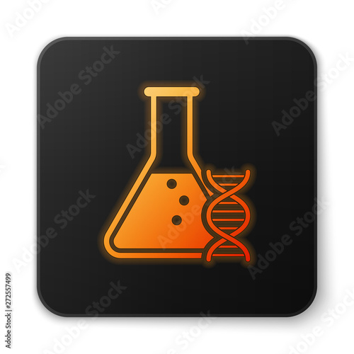 Orange glowing DNA research, search icon isolated on white background. Genetic engineering, genetics testing, cloning, paternity testing. Black square button. Vector Illustration
