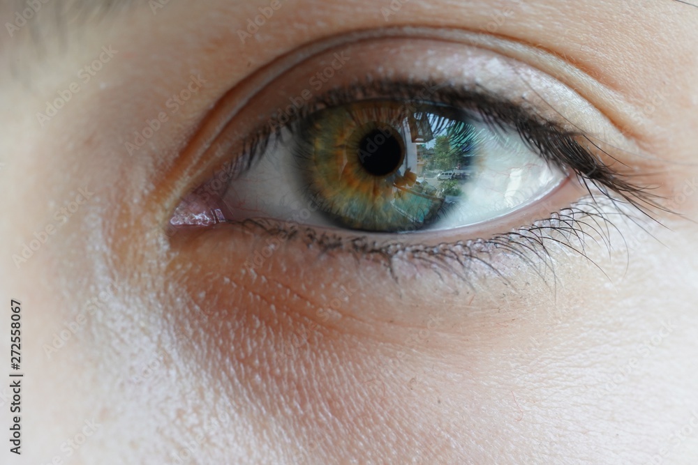 Fototapeta premium Green Eyes