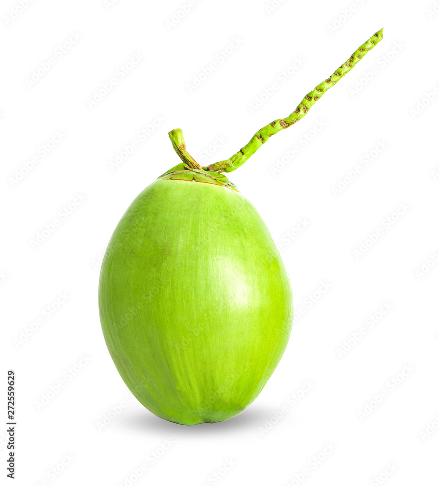 Green coconut on the white background Green coconut on the white background