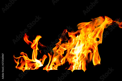 The Fire flames on a black background.