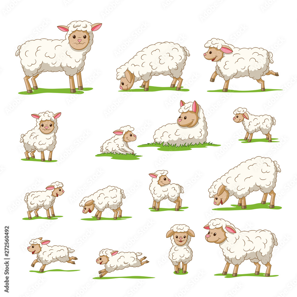 Collection of cute cartoon sheep and lambs. Isolated on white background.