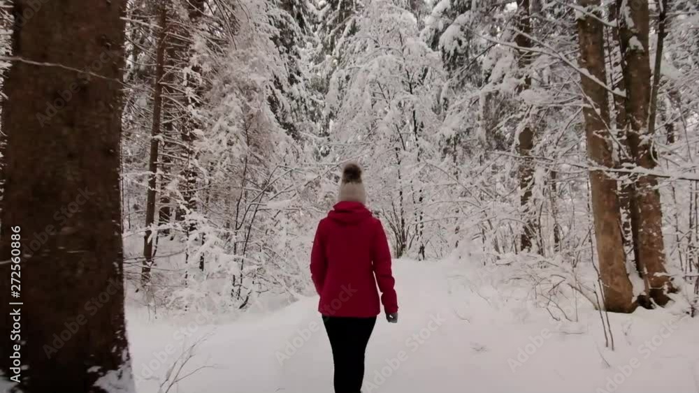 Zelenci springs on a very cold winters day. A natural spring in Slovenia with so much snow during winter in Europe Zelenci springs on a very cold winters day. A natural spring in Slovenia with so much snow during winter in Europe