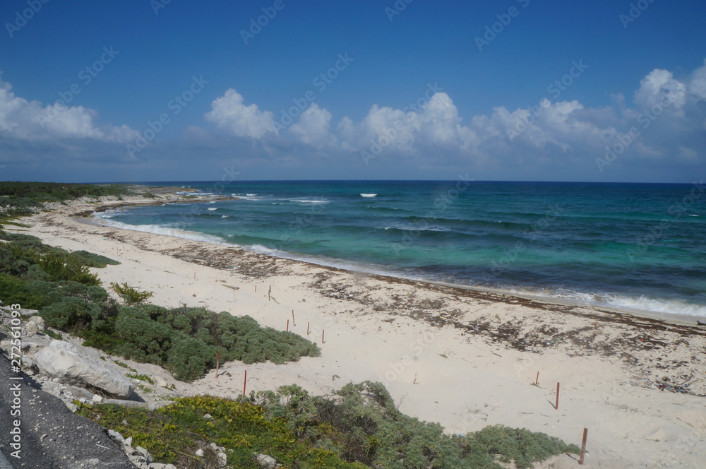 Fototapeta premium Cozumel island in Quintana Roo, Mexico. Blue turquoise Caribbean sea.
