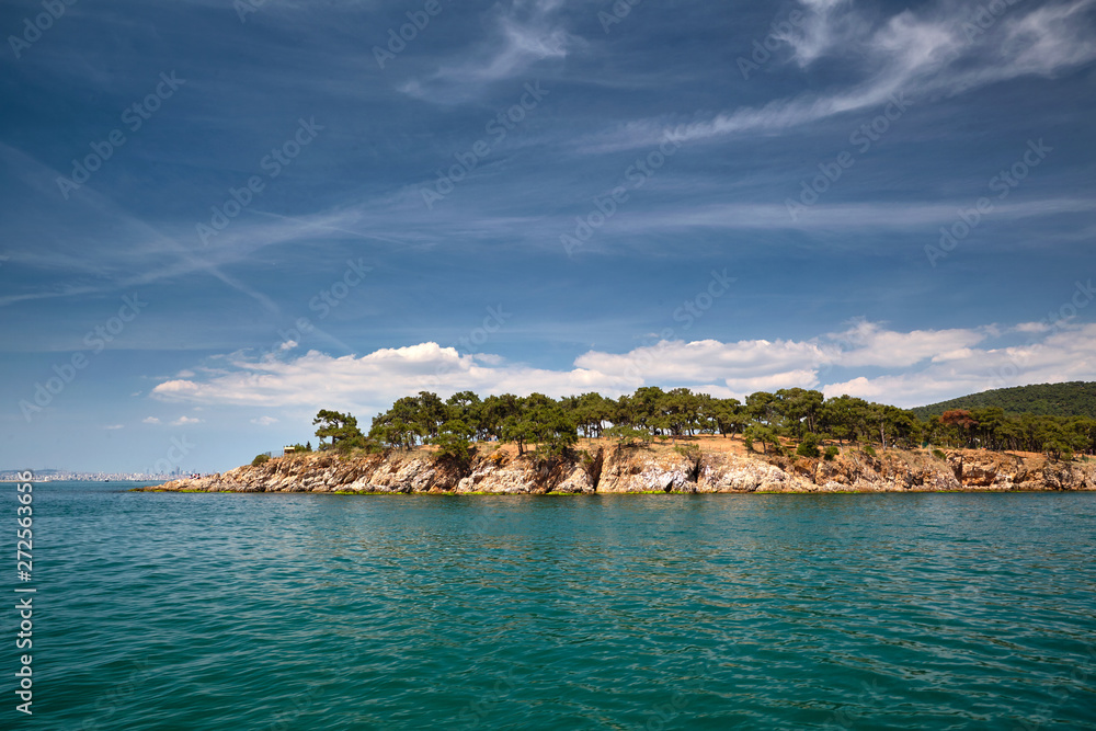 Naklejka premium Island and the Sea. Buyukada, Princes' Islands, Istanbul.