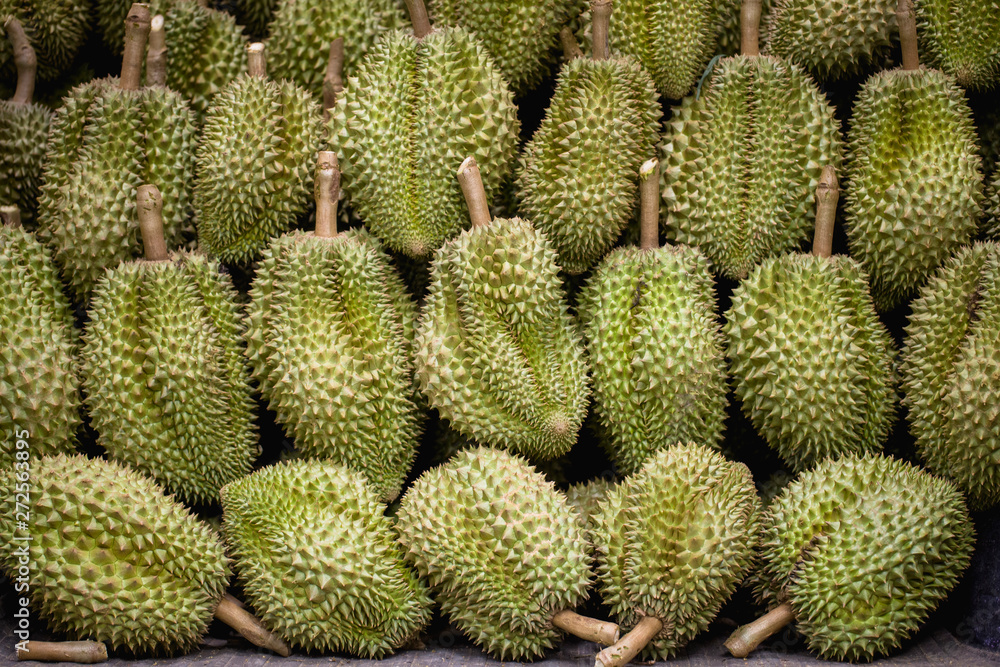 King of Fruit. Fresh Durian in Thailand. King of Fruit. Fresh Durian in Thailand.