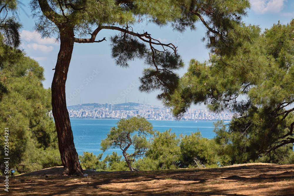  View of the metropolis through nature. Buyukada, Princes' Islands, Istanbul.