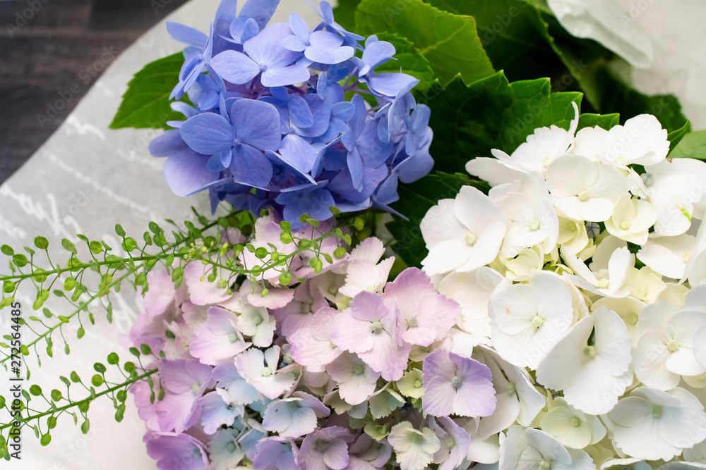 紫陽花の花束 Stock 写真 Adobe Stock