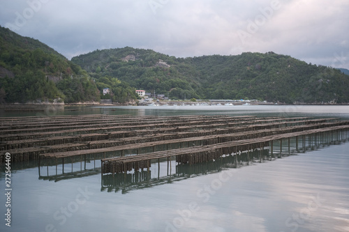 牡蠣の養殖