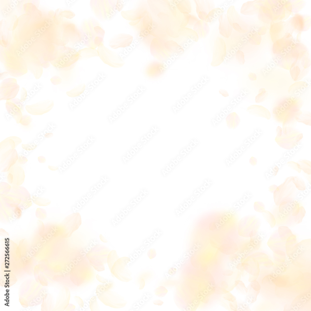 Yellow orange flower petals falling down. Lively r Yellow orange flower petals falling down. Lively r
