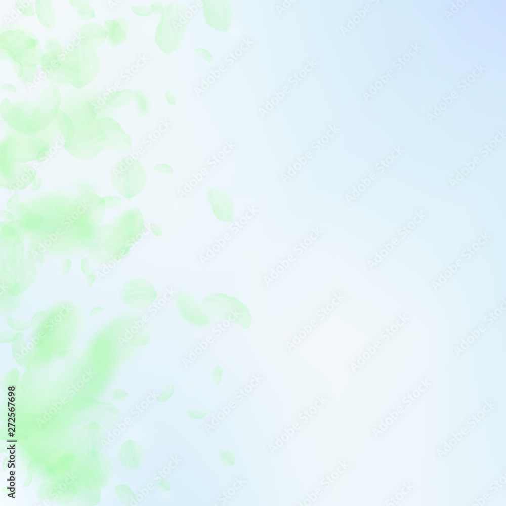 Green flower petals falling down. Precious romanti Green flower petals falling down. Precious romanti