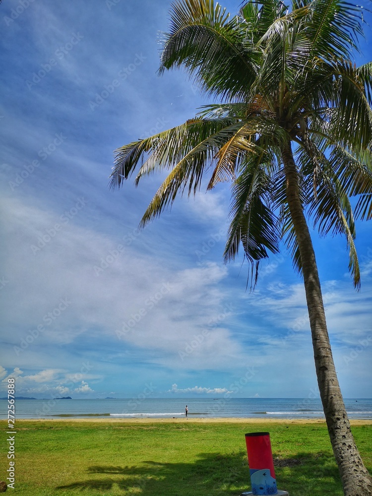 Coconut tree on the Tanjung Aru Beach, Kota Kinabalu with the beautiful blue sky above on sunny day. Coconut tree on the Tanjung Aru Beach, Kota Kinabalu with the beautiful blue sky above on sunny day.