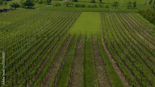 Aerial of vienyards and fields around Bönnigheim, Germany.  Camera tilts down and zooms in over vineyards.  photo