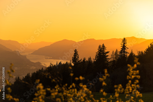 Glowing golden orange sunset sky over silhouetted Pacific Northwest trees and layers of mountains in the Columbia River Gorge